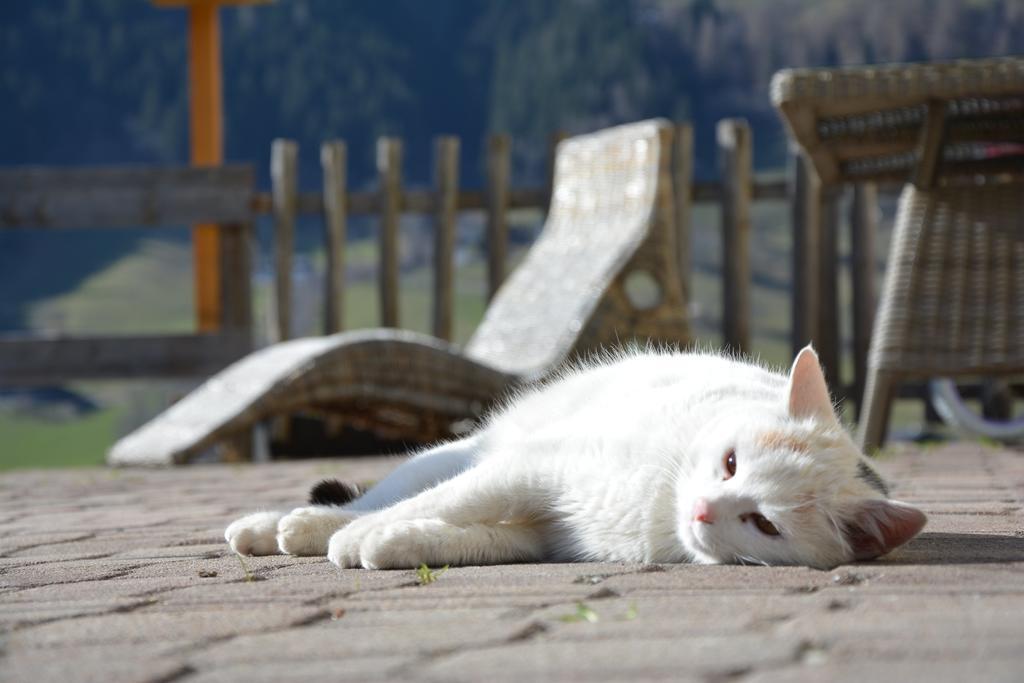Untersillerhof Villa Neustift im Stubaital Exteriör bild